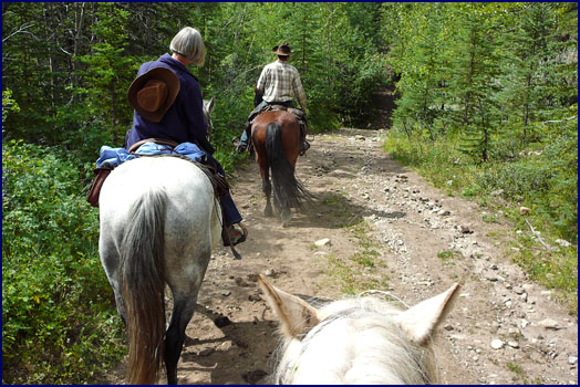 Willmore Wilderness Park, Alberta, Canada