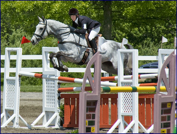 Polar Storm, by Brandenburg's Windstar, ridden by Katie Willis at the Jersey Fresh CCI***.