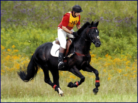 Orujo de la Galerna, owned and ridden by Pedro Gutierrez.  