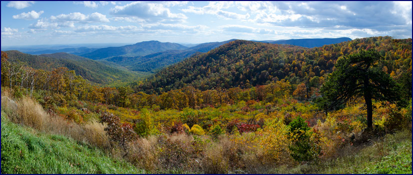 Skyline Drive