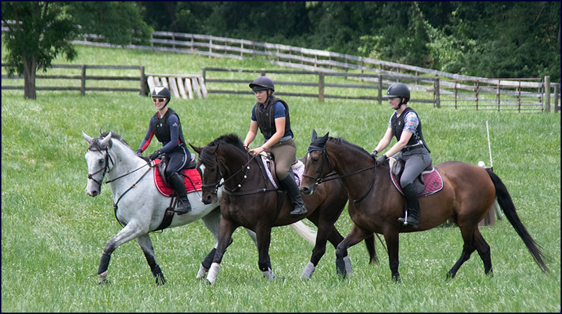 Windchase Working Students